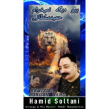 آهنگ جدید حمید سلطانی به نام برو دیگه نمیخوام (دیجی سروش بند ریمیکس)